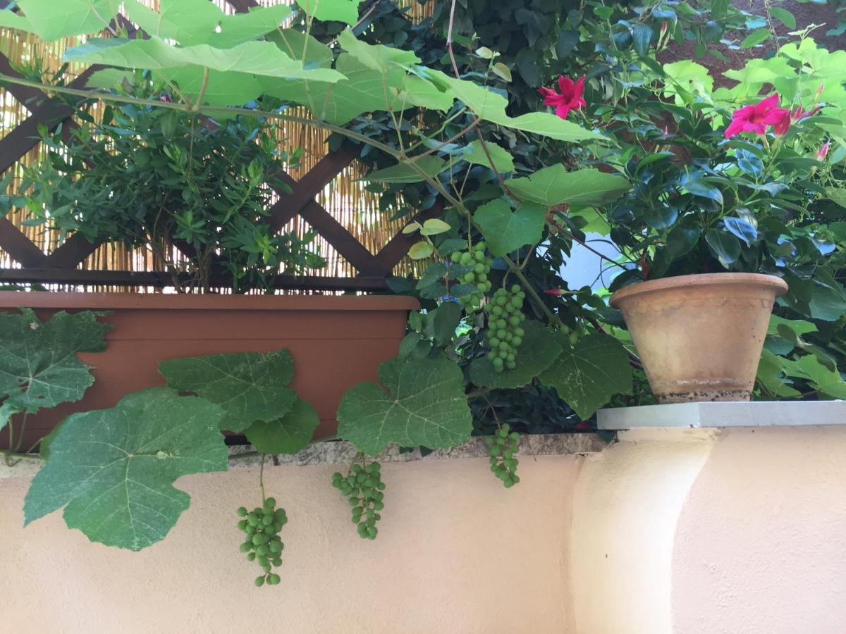 Apartamento Testaccio Historic House