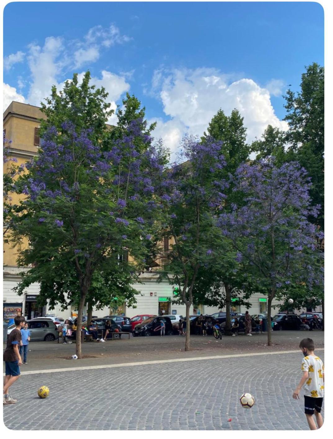 Apartamento Testaccio Historic House